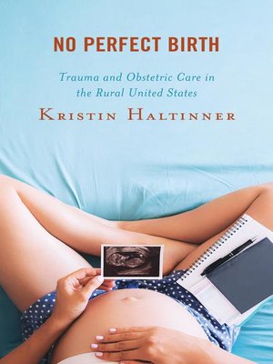 cover image of No Perfect Birth